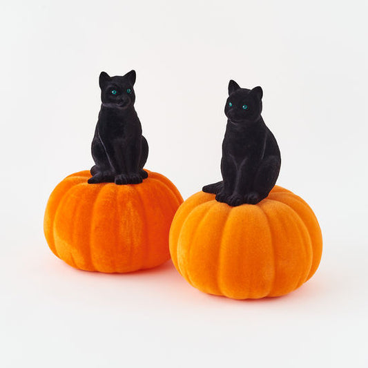 One Hundred 80 Degrees Flocked Black Cat on Pumpkin :: 18"